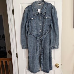 Denim Button-Up Belted Dress
